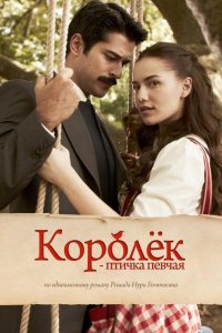 Королёк – птичка певчая